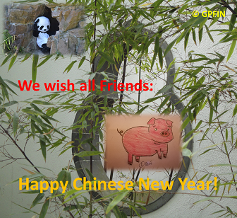 Giant Pandas: Happy Chinese New Year!